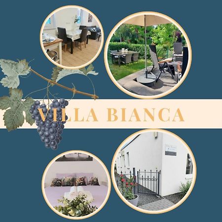 Villa Bianca - Holiday & Business Elsenfeld Eksteriør billede