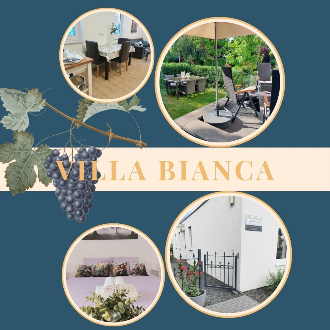 Villa Bianca - Holiday & Business Elsenfeld Eksteriør billede